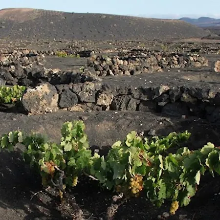 Casa La Geria (adults Only)