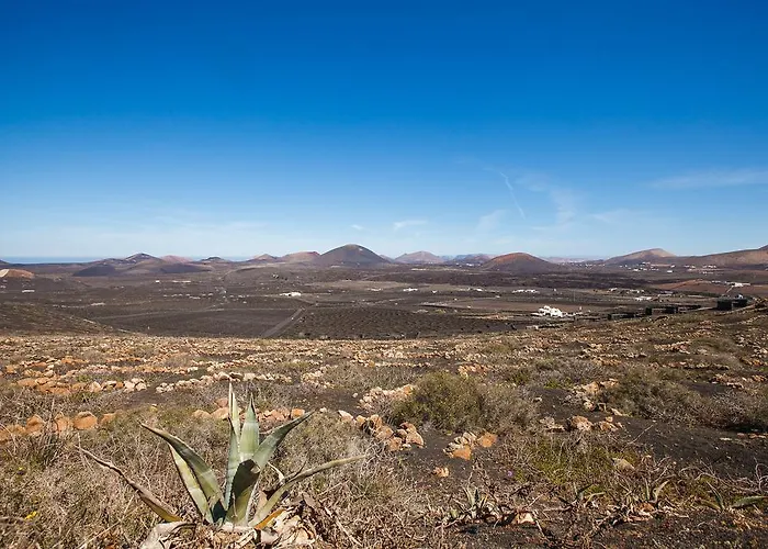 Holiday home Casa La Geria (Adults Only)