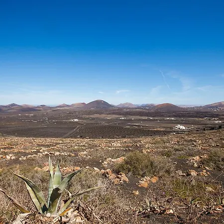 Tatil Evi Casa La Geria (adults Only)