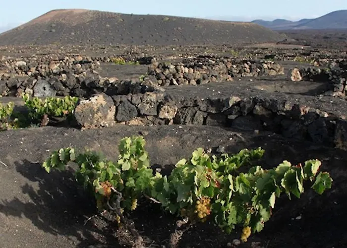 Casa La Geria (adults Only)